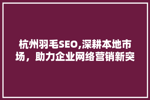 杭州羽毛SEO,深耕本地市场，助力企业网络营销新突破
