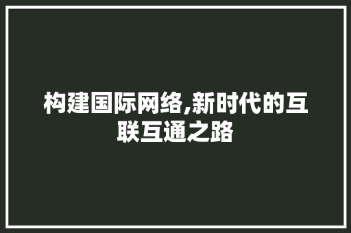 构建国际网络,新时代的互联互通之路