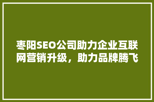 枣阳SEO公司助力企业互联网营销升级，助力品牌腾飞