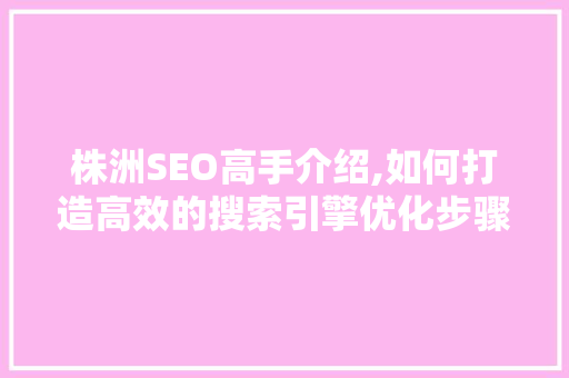 株洲SEO高手介绍,如何打造高效的搜索引擎优化步骤