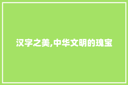 汉字之美,中华文明的瑰宝
