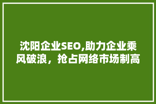 沈阳企业SEO,助力企业乘风破浪，抢占网络市场制高点