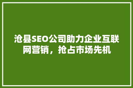沧县SEO公司助力企业互联网营销，抢占市场先机
