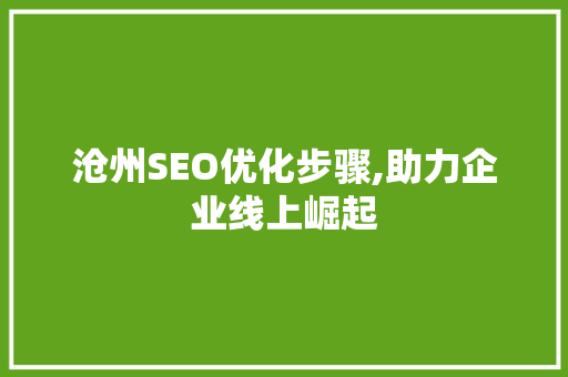 沧州SEO优化步骤,助力企业线上崛起