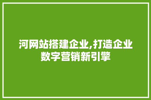 河网站搭建企业,打造企业数字营销新引擎