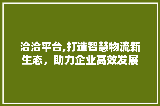 洽洽平台,打造智慧物流新生态，助力企业高效发展