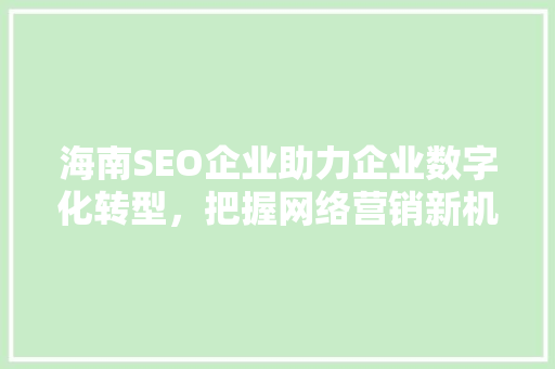 海南SEO企业助力企业数字化转型，把握网络营销新机遇