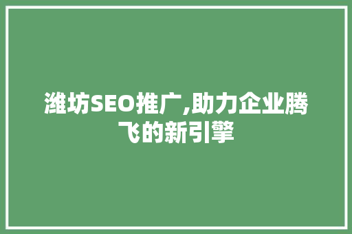 潍坊SEO推广,助力企业腾飞的新引擎