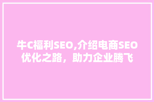牛C福利SEO,介绍电商SEO优化之路，助力企业腾飞