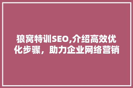 狼窝特训SEO,介绍高效优化步骤，助力企业网络营销腾飞