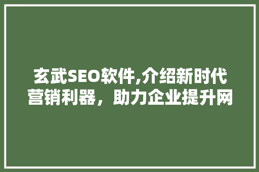 玄武SEO软件,介绍新时代营销利器，助力企业提升网络曝光度