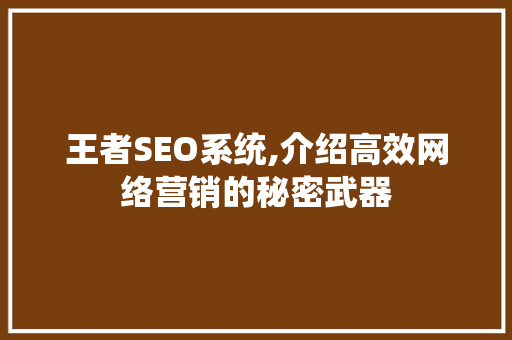 王者SEO系统,介绍高效网络营销的秘密武器