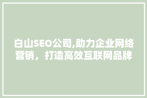 白山SEO公司,助力企业网络营销，打造高效互联网品牌形象