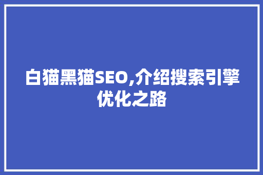 白猫黑猫SEO,介绍搜索引擎优化之路