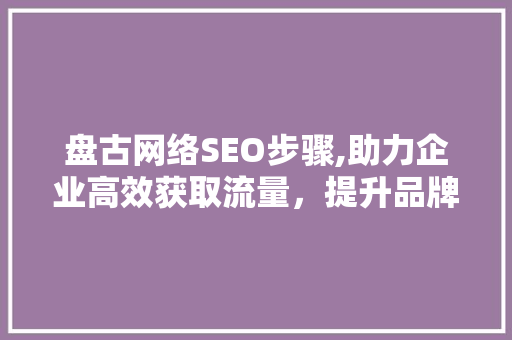 盘古网络SEO步骤,助力企业高效获取流量，提升品牌影响力
