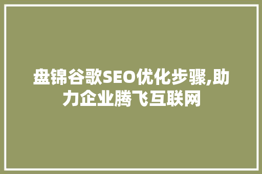 盘锦谷歌SEO优化步骤,助力企业腾飞互联网
