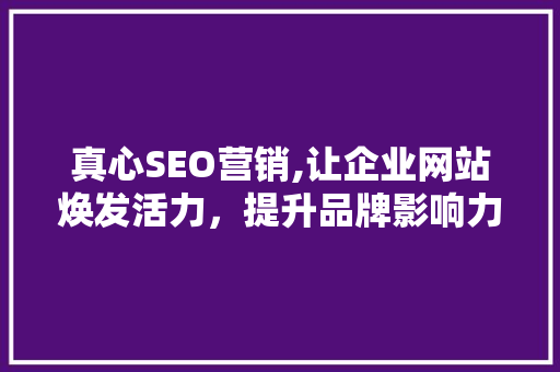 真心SEO营销,让企业网站焕发活力，提升品牌影响力