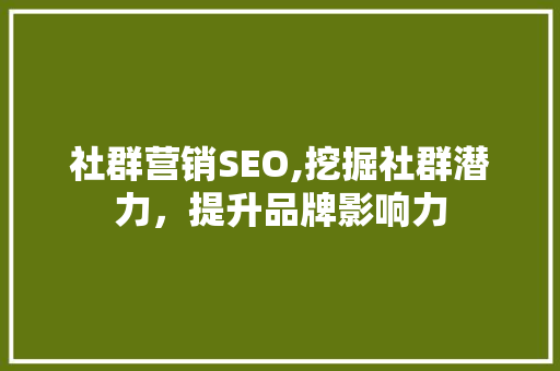 社群营销SEO,挖掘社群潜力，提升品牌影响力