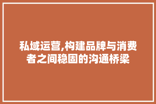 私域运营,构建品牌与消费者之间稳固的沟通桥梁