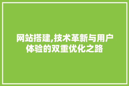 网站搭建,技术革新与用户体验的双重优化之路