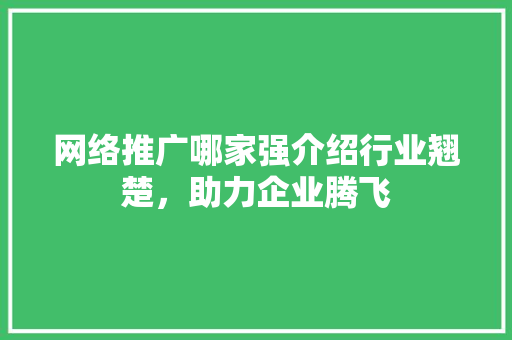 网络推广哪家强介绍行业翘楚，助力企业腾飞