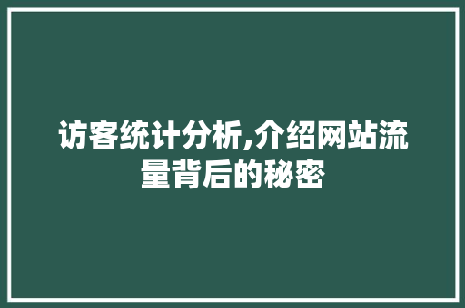 访客统计分析,介绍网站流量背后的秘密