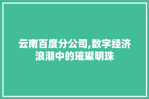 云南百度分公司,数字经济浪潮中的璀璨明珠