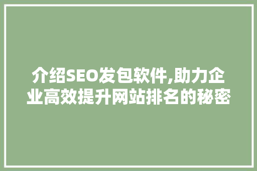介绍SEO发包软件,助力企业高效提升网站排名的秘密武器