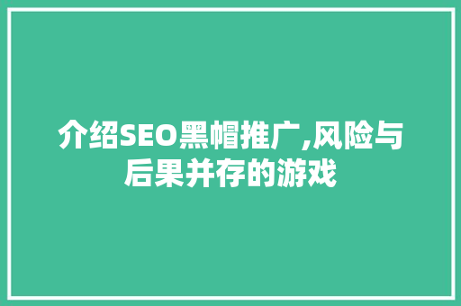介绍SEO黑帽推广,风险与后果并存的游戏