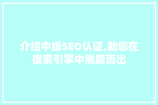 介绍中级SEO认证,助您在搜索引擎中脱颖而出
