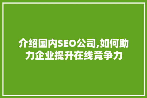 介绍国内SEO公司,如何助力企业提升在线竞争力