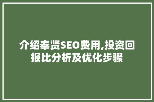介绍奉贤SEO费用,投资回报比分析及优化步骤