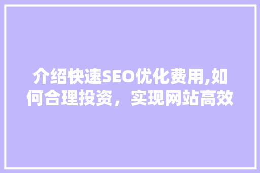 介绍快速SEO优化费用,如何合理投资，实现网站高效排名