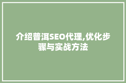 介绍普洱SEO代理,优化步骤与实战方法