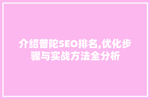 介绍普陀SEO排名,优化步骤与实战方法全分析