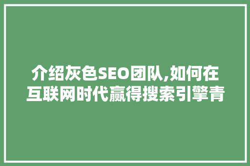 介绍灰色SEO团队,如何在互联网时代赢得搜索引擎青睐