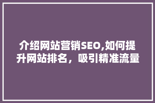 介绍网站营销SEO,如何提升网站排名，吸引精准流量