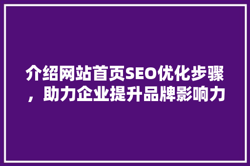 介绍网站首页SEO优化步骤，助力企业提升品牌影响力