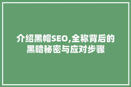 介绍黑帽SEO,全称背后的黑暗秘密与应对步骤