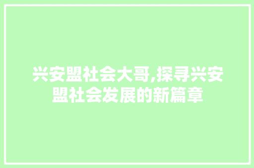 兴安盟社会大哥,探寻兴安盟社会发展的新篇章