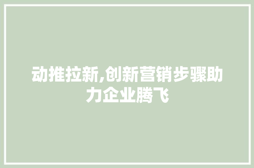 动推拉新,创新营销步骤助力企业腾飞