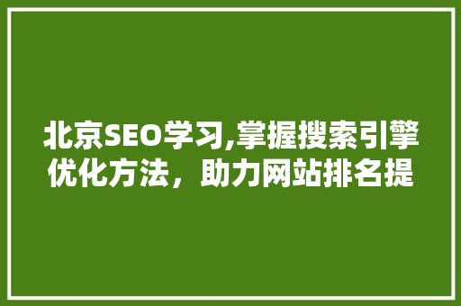 北京SEO学习,掌握搜索引擎优化方法，助力网站排名提升