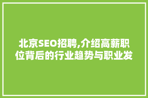 北京SEO招聘,介绍高薪职位背后的行业趋势与职业发展