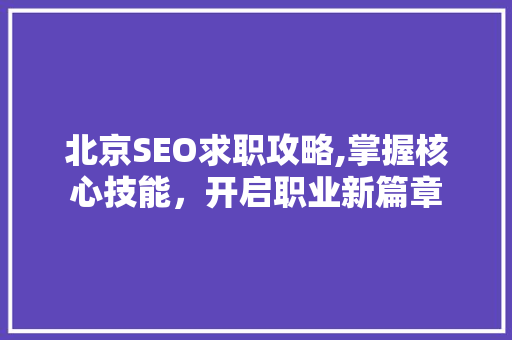 北京SEO求职攻略,掌握核心技能，开启职业新篇章