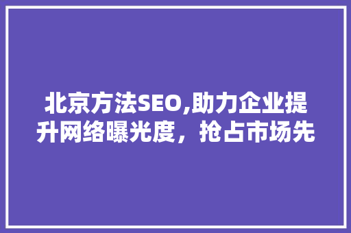 北京方法SEO,助力企业提升网络曝光度，抢占市场先机