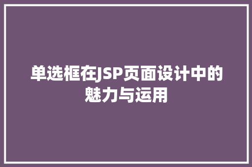 单选框在JSP页面设计中的魅力与运用