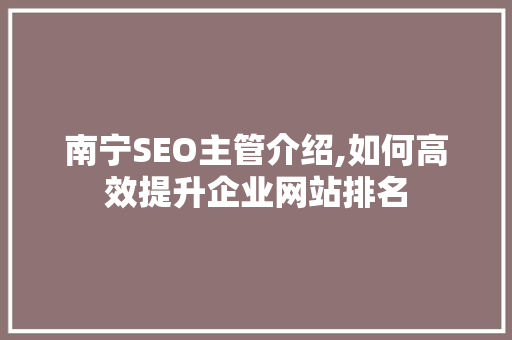 南宁SEO主管介绍,如何高效提升企业网站排名