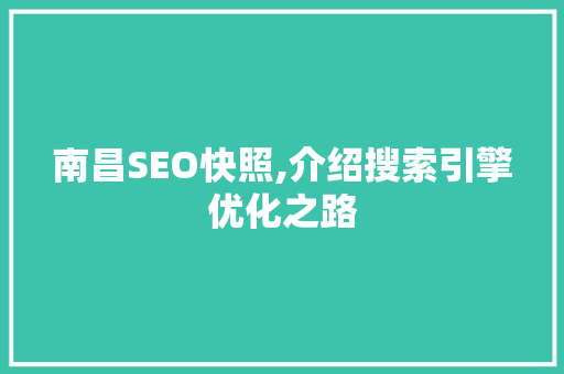 南昌SEO快照,介绍搜索引擎优化之路