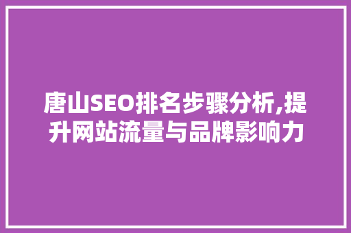 唐山SEO排名步骤分析,提升网站流量与品牌影响力
