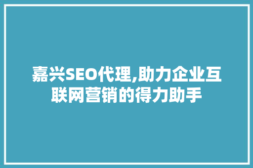 嘉兴SEO代理,助力企业互联网营销的得力助手